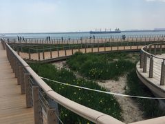 -东疆建设开发纪念公园
