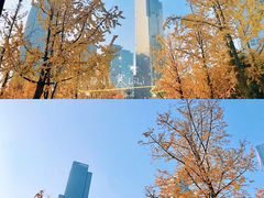 -重庆市江北嘴中央商务区中央公园