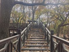 -虞山风景区