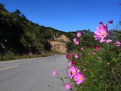 -灵山