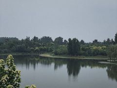 -东郊湿地公园