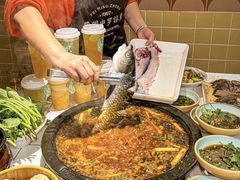 -费明中罗非鱼(大石坝店)