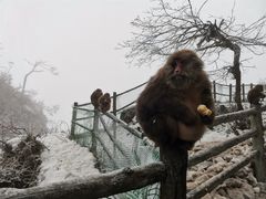 -峨眉山风景名胜区
