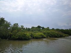 -东寨港红树林旅游区