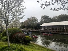 -上海海湾国家森林公园