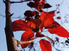 -味多美蛋糕(看丹桥店)