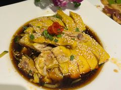 -高第街56号餐厅(泰安万达店)