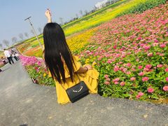 -光明小镇欢乐田园