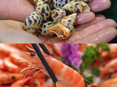 -四川小胡子海鲜(丁村万人海鲜广场店)