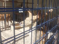 -山西乌金山旅游区