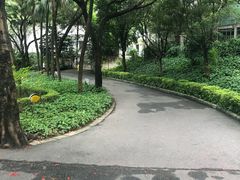 -晓港公园
