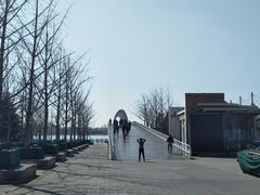 -大兴滨河森林公园