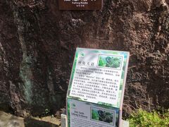 -广州白江湖森林公园