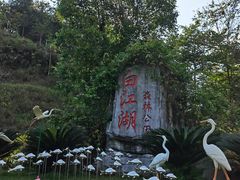 -广州白江湖森林公园