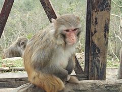 -重庆云阳龙缸景区