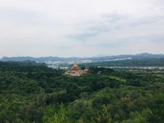 -磬锤峰森林公园
