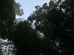 -天目湖御水温泉·度假酒店