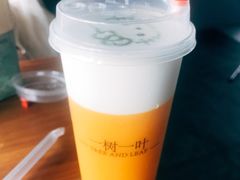 芒果奶盖-一树一叶·福建茶档(石鼓路店)