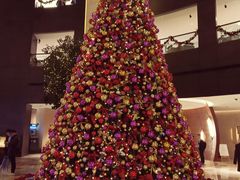 -皇朝尊会(龙之梦大酒店)