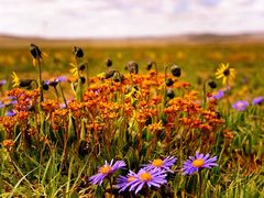 -青海湖国家重点风景名胜区