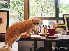 -咖法森林·咖啡  酒吧(天河店)