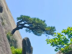 -文娟土菜馆(天柱山店)