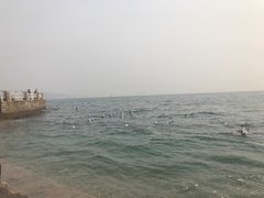 -泊石湾海滨浴场