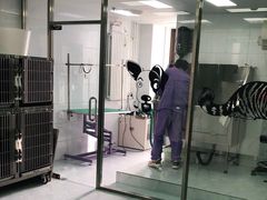 -欧奕国际动物医院