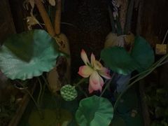 -怡泰SPA·泰疗按摩(徽宁路店)