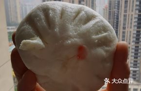 Bamboo Dumpling