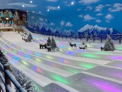 -世界之窗阿尔卑斯冰雪世界
