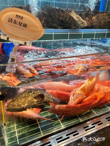 雍容荟主打高端海鲜自助，食材新鲜度很亮眼