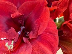 -沙丘咖啡DUNE COFFEE(深业水松大厦店)