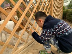 -萌宠亲子动物乐园(槐房万达店)