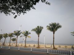 -情侣路