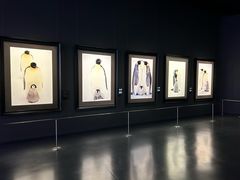 -罗红摄影艺术馆