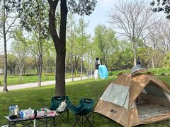 -贡湖湾湿地公园
