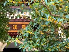 -宋宴(虎跑店)