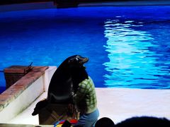 -波塞冬旅游度假区