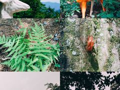 -大明山自然探索公园