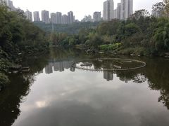 -龙头寺公园