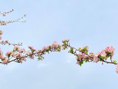 -海棠花溪(元大都城垣遗址公园)