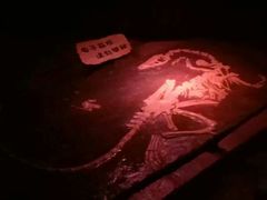 -寻龙山风景旅游区