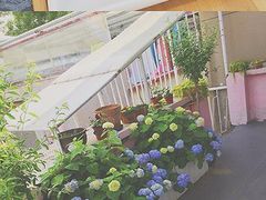 -豆老板的猫咖啡(碑林博物馆店)