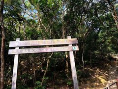 -狮子山郊野公园