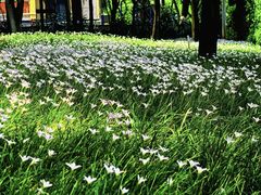 -人民公园(罗湖区)