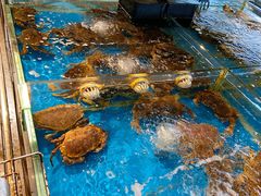-海蓝海鲜馆(五四北店)