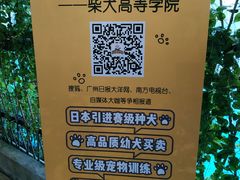 -柴犬高等学院·狗咖·柴犬售卖·宠物训练