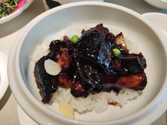 至味海参烩元蹄-悦融琥珀·京鲁菜·海味珍品(西单店)