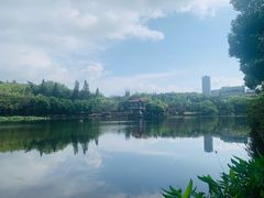 -深圳龙潭公园